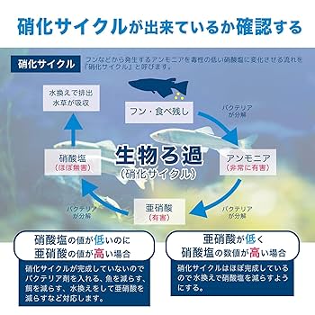 Amazon.co.jp: ［ENJOY AQUA］ アクアリウム 6in1 水質検査紙